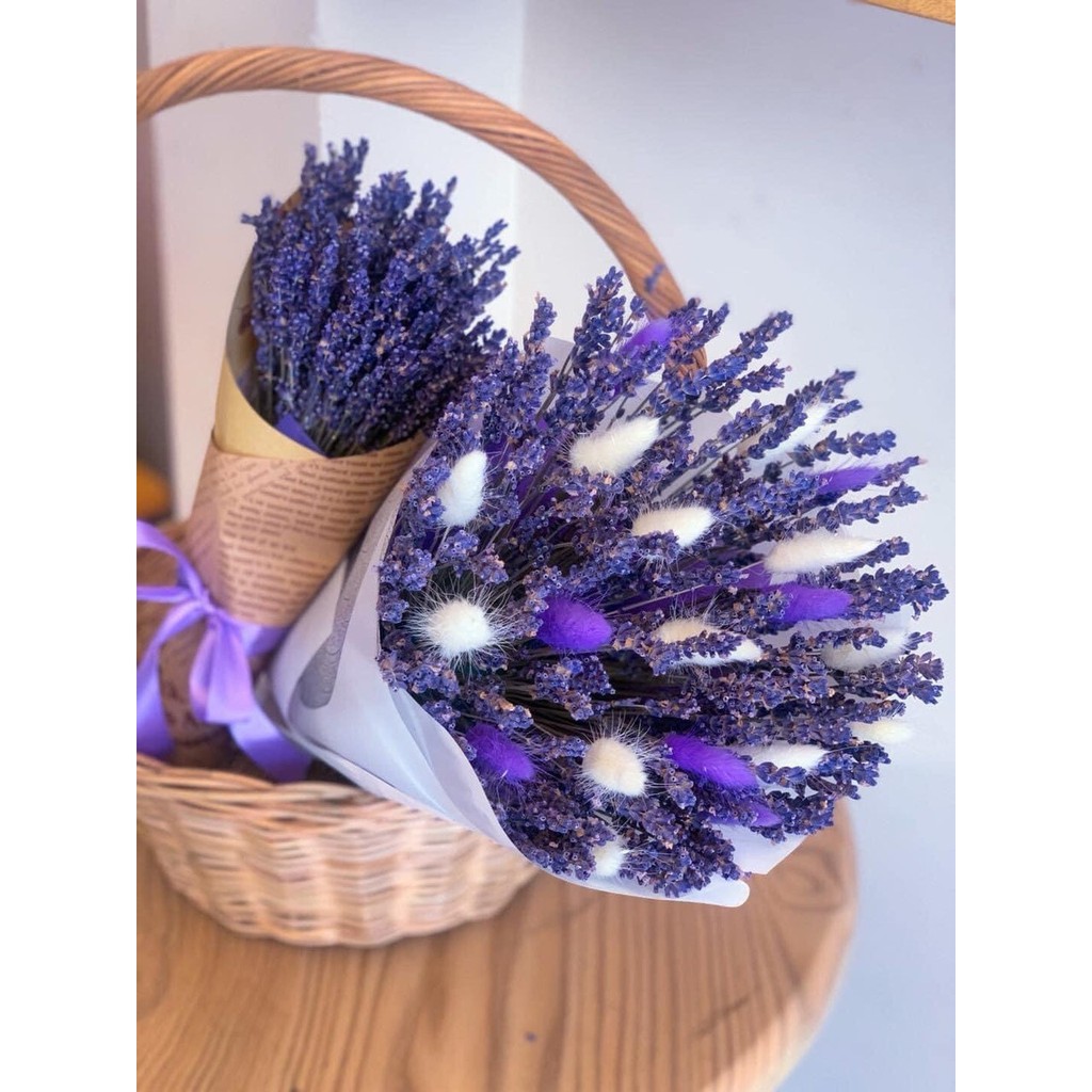 [HOT]Hoa khô Lavender ❤️GIÁ SOCK❤️ 10 bông hoa oải hương khô thuần chủng Pháp, tím đậm siêu xinh