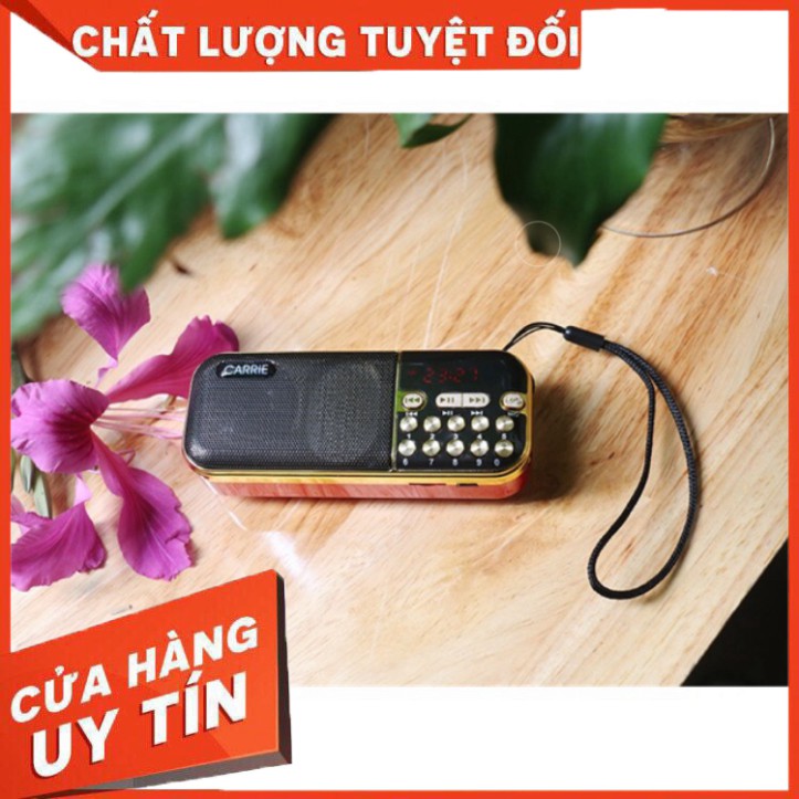 Loa Đài Cầm Tay Nghe Thẻ Nhớ Radio Fm Pin Dung Lượng Cao Âm Lượng Lớn - CA121 CARRIE 8gb Nghe Nhạc Vàng - Đỏ - Niệm Phật