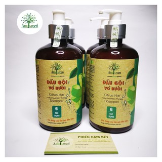 SỈ 4 CHAI DẦU GỘI BƯỞI CAO CẤP AMEGREEN