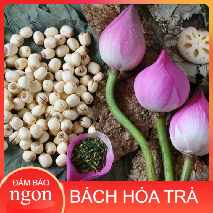 HẠT SEN SẤY KHÔ (100 Gram) - Siêu ngon loại 1