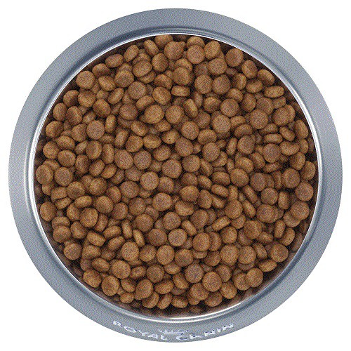 [CHÍNH HÃNG] ROYAL CANIN - MAXI PUPPY THỨC ĂN CHO CHÓ DƯỚI 15 THÁNG - GÓI 4KG