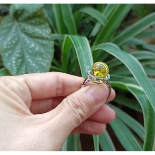 Nhẫn hổ phách đổi màu thời trang