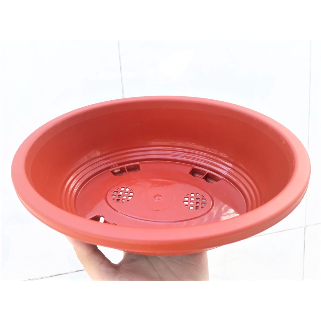 CHẬU NHỰA HÌNH OVAL TRỒNG BONSAI, CÂY HOA, NHỰA BỀN, MÀU ĐẸP