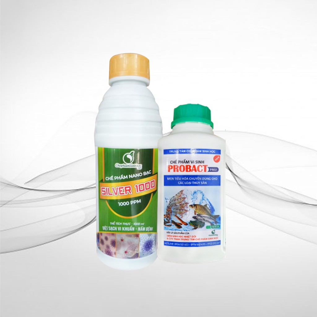 Combo TS.1 (Nano bạc, Men vi sinh) xử lý ao hồ nuôi ốc
