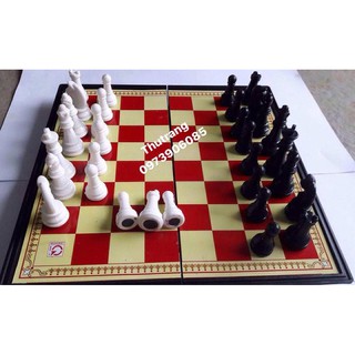 Cờ vua nam châm (KT 27cm x 27cm)