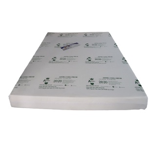 Nệm foam adora cool fresh mát lạnh - chính hãng
