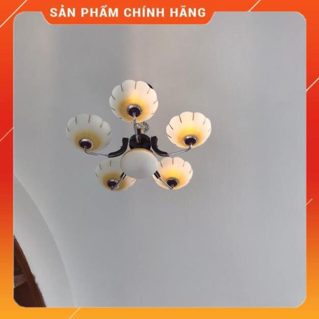 Đèn chùm cổ điển (Bao gồm bóng) NC9036-5