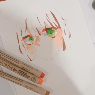 Bút Kỹ Thuật Sakura Pigma Micron