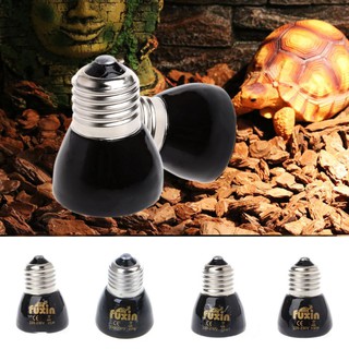 Đèn Sưởi Ấm Cho Bò Sát