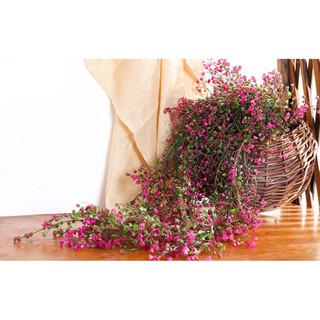 Dây leo lá rong decor trang trí ( loại 1)