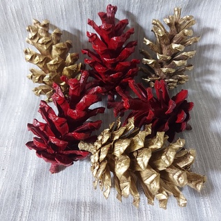Quả thông khô tự nhiên - trang trí tiểu cảnh - giáng sinh - cây thông Noel
