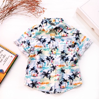 Sơ mi cây dừa Piping Hot xuất xịn