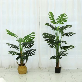 Cây giả trang trí - cây trầu bà tay phật 1m3 và 1m  - HX992