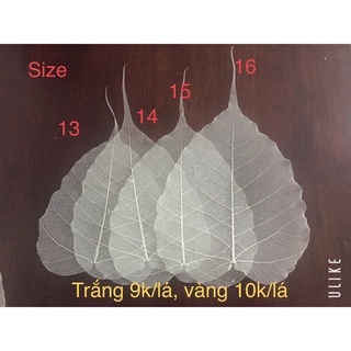 Xương lá Bồ đề