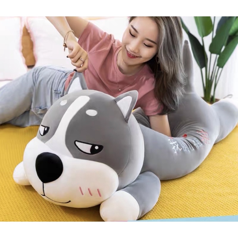 Chó husky mặt phê✨Freeship✨Gấu chó 1m3 khổng lồ vải nỉ nhung cao cấp