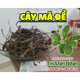 Combo 2kg Cây Mã Đề Khô - Hàng Công Ty Chất Lượng