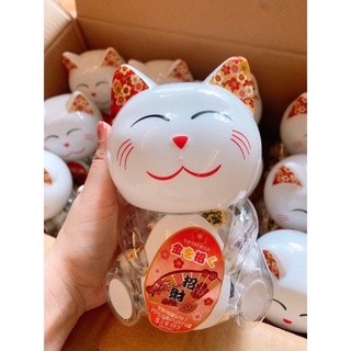 kẹo mèo thần tài socola