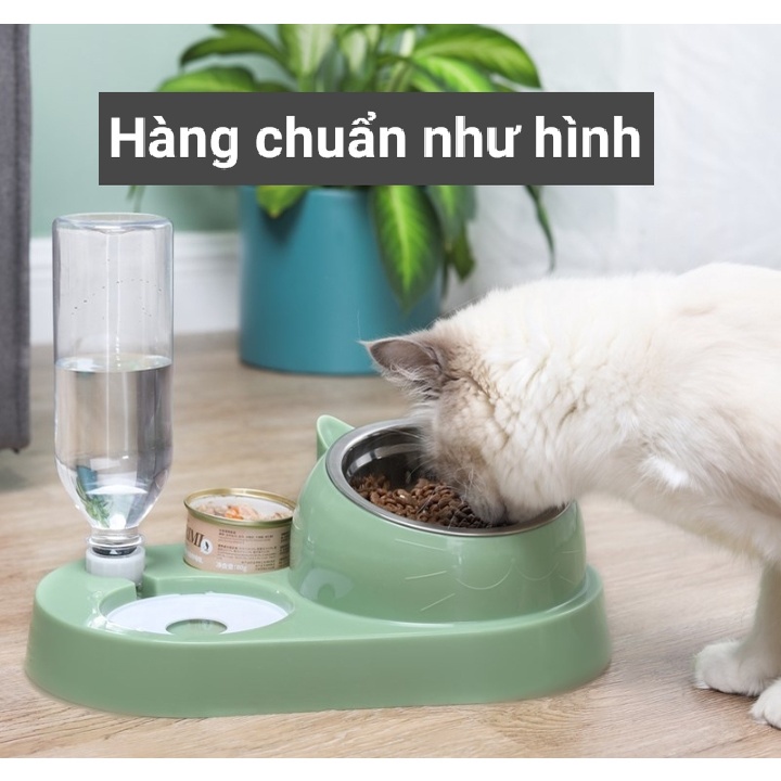 *Hoả tốc* BÁT ĂN CHỐNG GÙ KÈM BÌNH NƯỚC TỰ ĐỘNG DÀNH CHO CHÓ MÈO