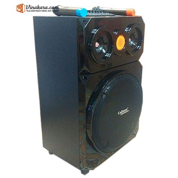 CALIANA WD 15 LOA KÉO BASS 4 TẤC