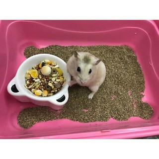[TKN123] cát buddy ấn 1kg