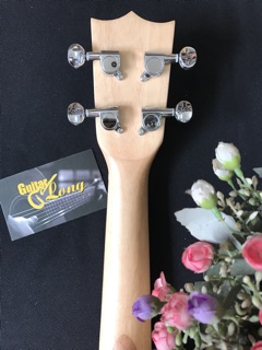 Đàn Ukulele Soprano Gỗ Sọc cao cấp - CB2