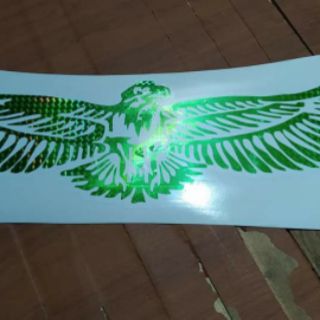 Tem đại bàng phản quang