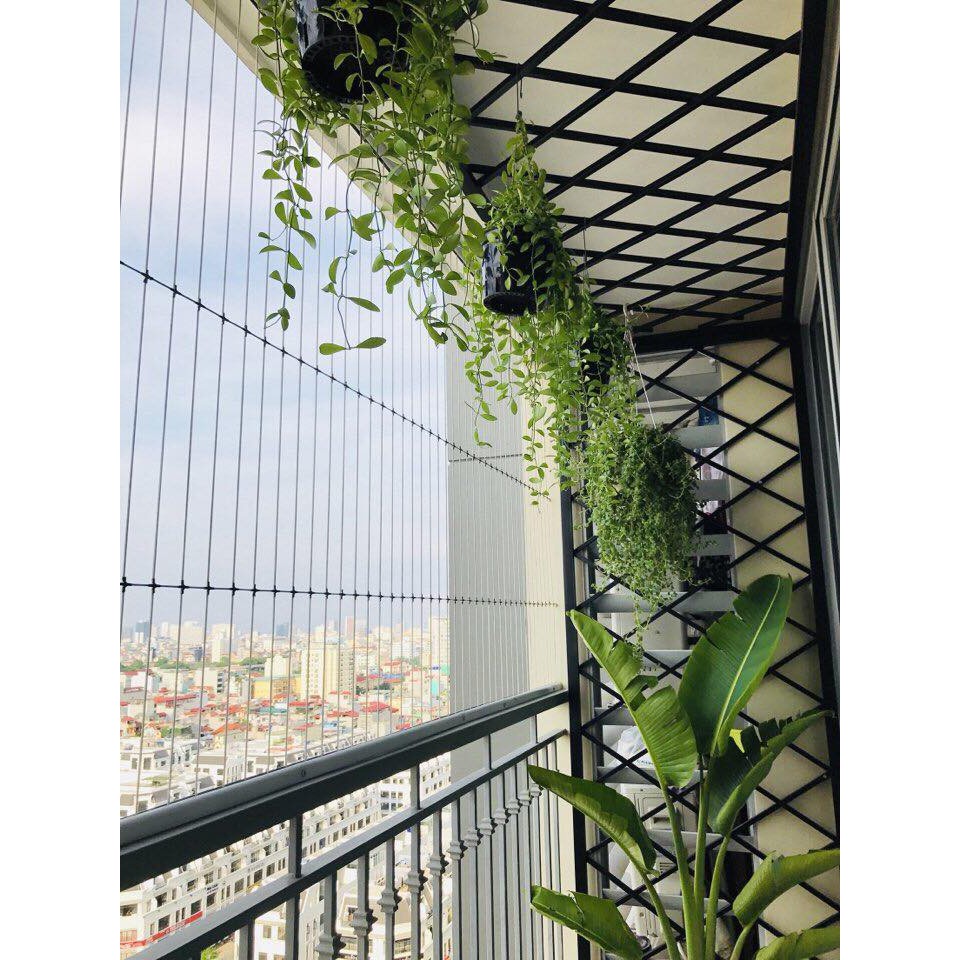 Giàn tường treo cây ban công || Mẫu ô quả trám - đơn giá m2