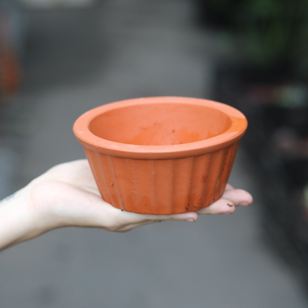 Chậu đất nung khay thấp gân sọc dọc trồng tiểu cảnh sen đá, xương rồng