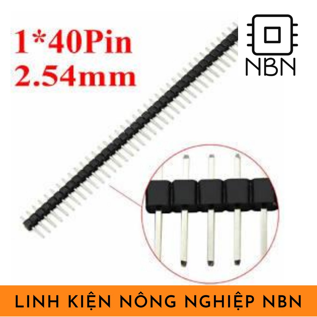 Hàng rào đực💥 40 chân 💥chân thẳng💥
