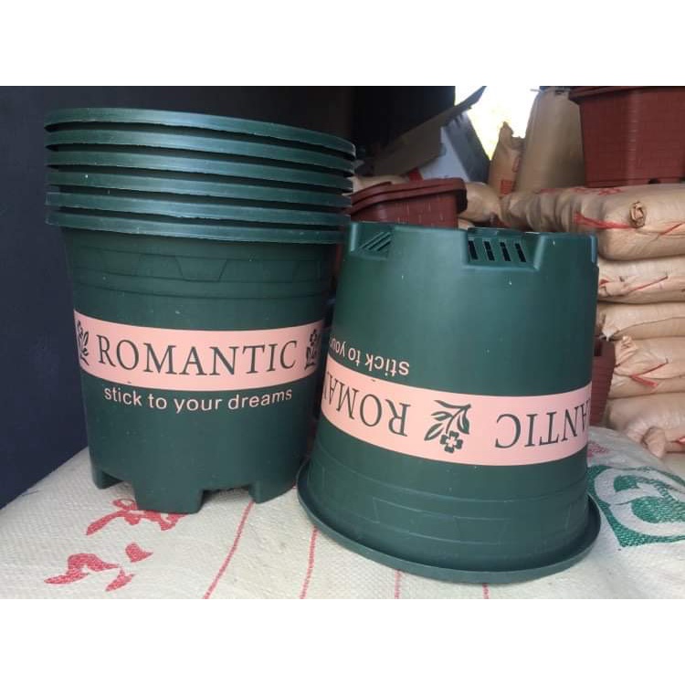 5 CHẬU NHỰA ROMANTIC #3