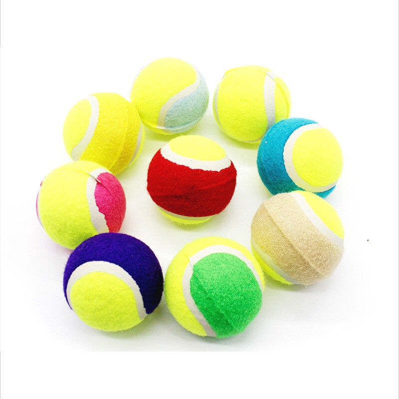 Đồ chơi cho thú cưng bóng tennis – Đồ chơi tương tác quả bóng ném cho chó mèo 0