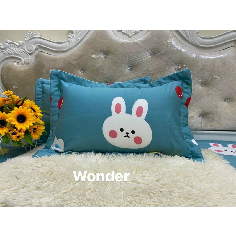 FREESHIP50K VỎ GỐI COTTON HÀN CAO CẤP LOẠI ĐẸP LÓT BÔNG, SIZE 45x65 CM, 1 ĐÔI