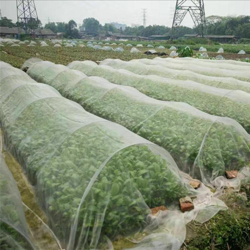 Lưới Bảo Vệ Rau Củ Quả Chống Chim Phá Hoại Tiện Dụng