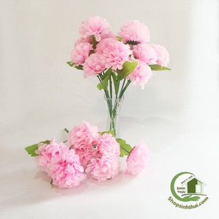 Bụi hoa cẩm tú cầu màu hồng - bụi lớn gồm 7 bông to