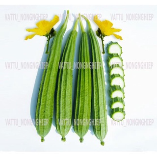 Bộ 2 Gói Hạt Giống Mướp Khía Thái Lan-Hạt Giống Sạch-An Toàn(1g/gói)