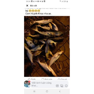 Mồi câu cá Huỳnh Khoa