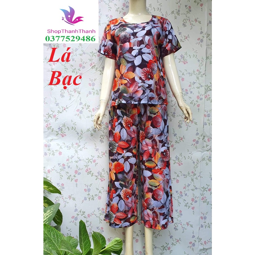 Size 2  Tổng hợp mẫu DÀI 3D ống Sớ 9 tấc Trung Niên Đồ bộ mặc nhà Big Size TOLE tôn Nhung loại 1