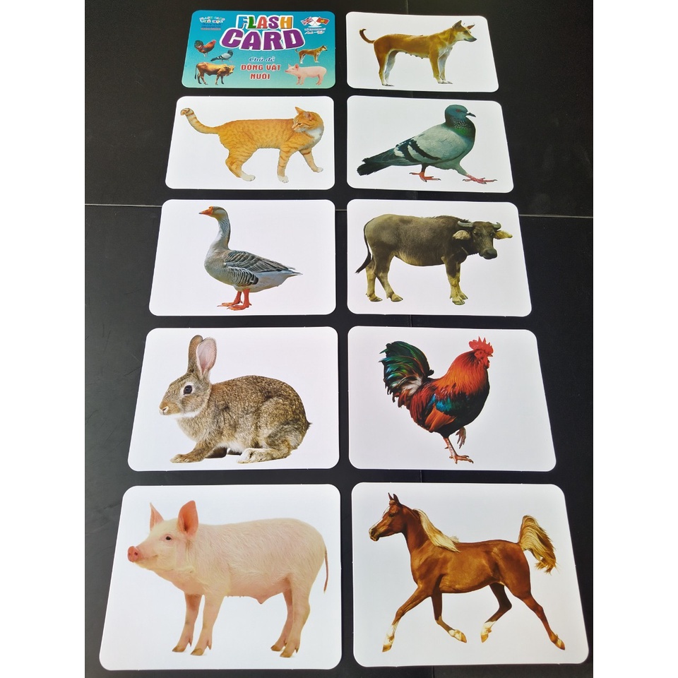 Bộ thẻ học thông minh Flash Card Glenn Doman song ngữ Anh - Việt cỡ to 18 chủ đề 280 thẻ