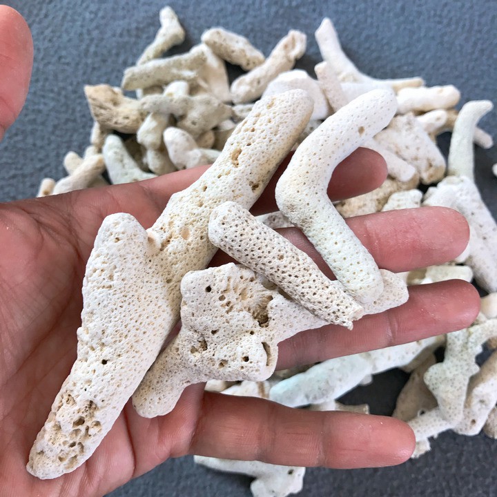 San hô vụn 500gram lọc nước hồ cá