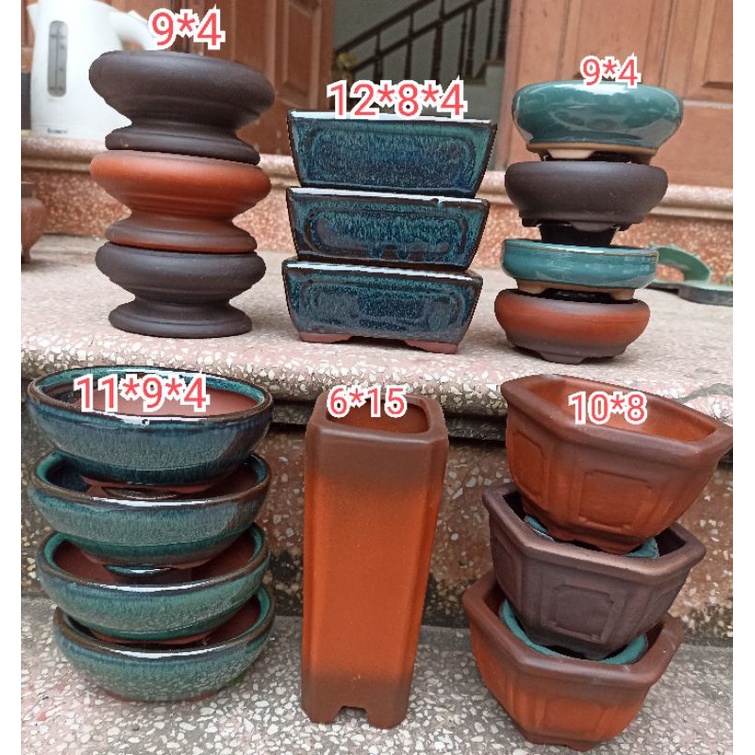 combo 18 chậu bonsai siêu đẳng cấp