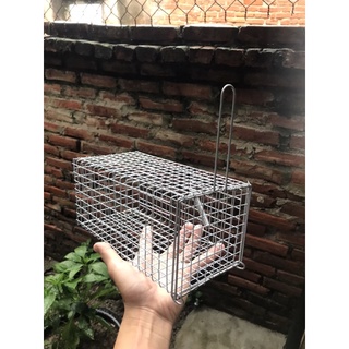 Combo 5 lồng bẫy chuột,bẫy sóc 11x12x23cm lưới chống rỉ.