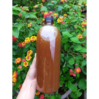 Mật ong đá rừng Lai Châu