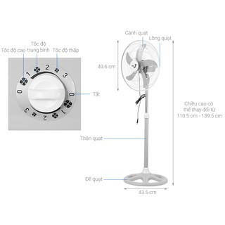 Quạt cây - đứng Asia D18004 - 55W