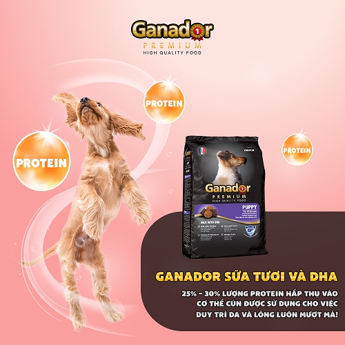 [CHÍNH HÃNG] THỨC ĂN GANADOR PUPPY VỊ SỮA - THÙNG 12KG