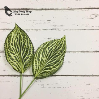 Lá cây đạo cụ chụp hình sản phẩm ( mẫu lá cây 2 )