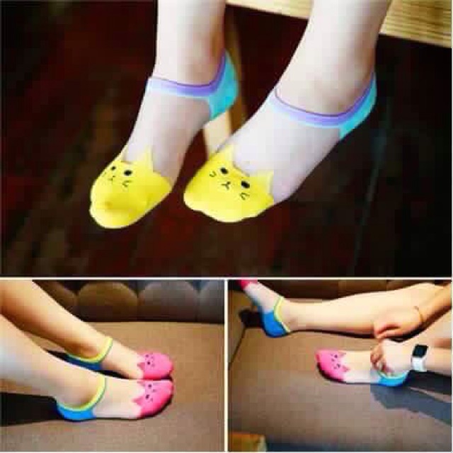 Combo 10 tất mèo đủ màu