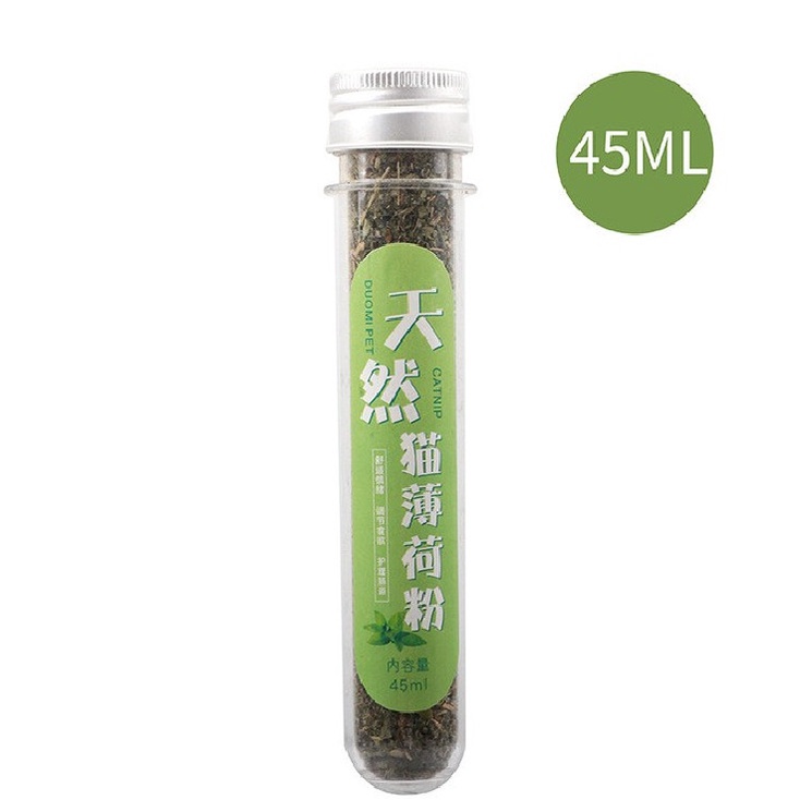 Cỏ bạc hà cho mèo phê pha xả stress