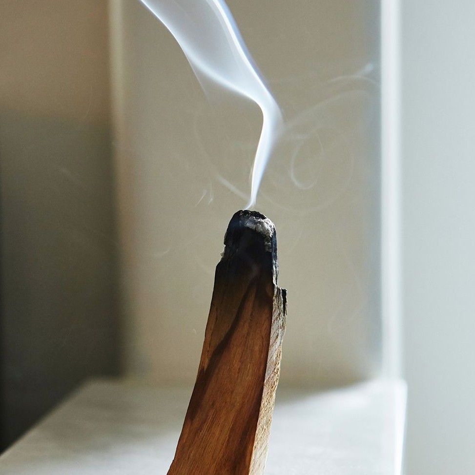 Thanh gỗ Trắc xanh (Palo Santo) Grade AA - thanh tẩy không gian