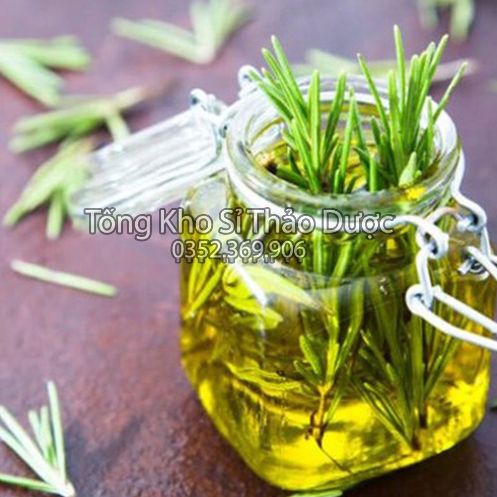 Lá hương thảo sấy lạnh 1kg (Gia vị thảo mộc, nguyên liệu ướp thịt nướng, decor món ăn)