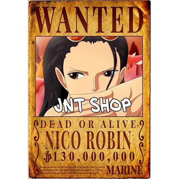 Poster Wanted Truy Nã One Piece Vua Hải Tặc 51X36Cm Tỉ Lệ Vàng 1-1 Trong One  Piece | Shopee Việt Nam